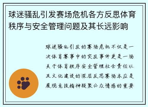 球迷骚乱引发赛场危机各方反思体育秩序与安全管理问题及其长远影响